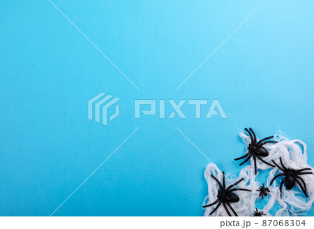 Composition of halloween decoration with spiders and copy space on blue background 87068304