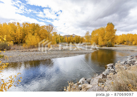 USA, Idaho, Bellevue, Big Wood River and yellow Autumn trees USA, Idaho, Bellevue, Big Wood River and yellow Autumn trees 87069097