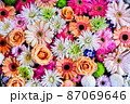 花手水 87069646