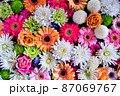 花手水 87069767