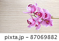 木目調をバックに咲く蘭の花 87069882