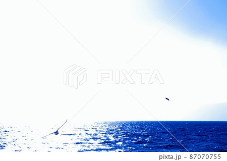 【大磯町】静かな漁港、海辺の町 87070755