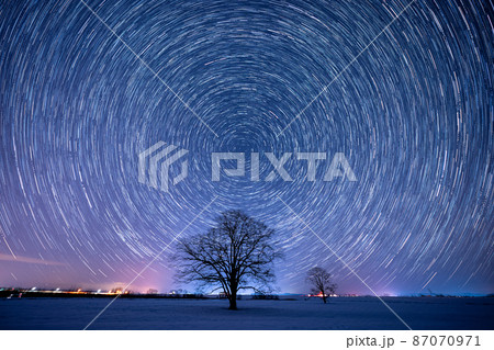 ハルニレの木 星の光跡風景 ハルニレの木 星の光跡風景 87070971