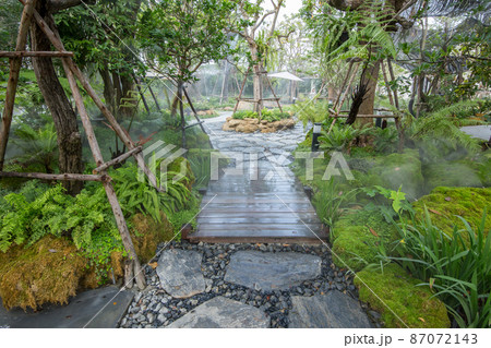 Beautiful view of natural landscape in the home garden Beautiful view of natural landscape in the home garden 87072143