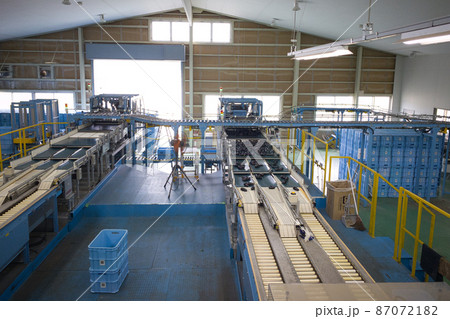 物流センター　コンベア 87072182