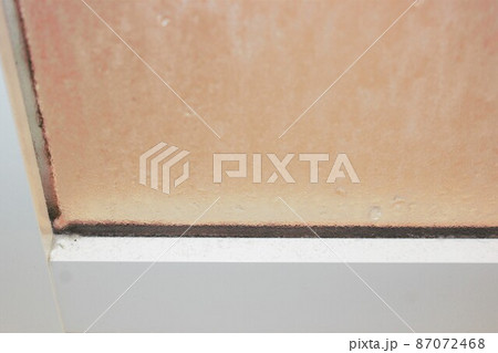 浴室の扉の隅　角　扉の角　かび 87072468