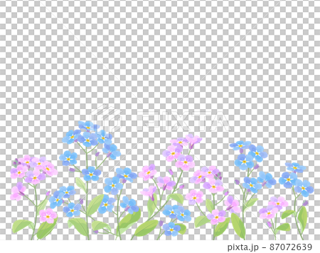 藍色和粉色的勿忘我 藍色和粉色的勿忘我 87072639