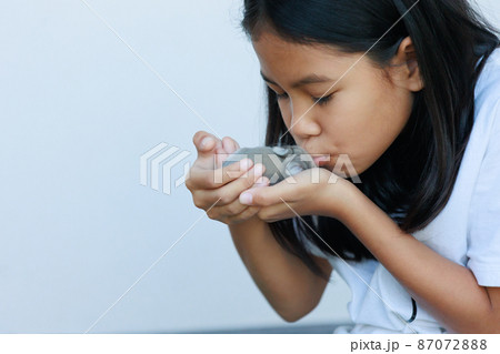 Newborn baby holland lop bunny in child hands. Asian girl holding tiny bunny in hand with tenderness and love. People take care a pet. New life of animal concept. Newborn baby holland lop bunny in child hands. Asian girl holding tiny bunny in hand with tenderness and love. People take care a pet. New life of animal concept. 87072888