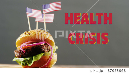 Health Crisis text against American flags on burger against grey background 87073068