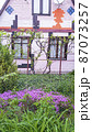 Front garden with blooming saxifrage near of a pink country house wall. Springtime. Lifestyle. 87073257