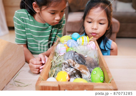 Asian siblings children are playing with baby bunny and decorating easter eggs preparing for Easter at home together with fun. Happy family Happy easter Happy holiday. Asian siblings children are playing with baby bunny and decorating easter eggs preparing for Easter at home together with fun. Happy family Happy easter Happy holiday. 87073285