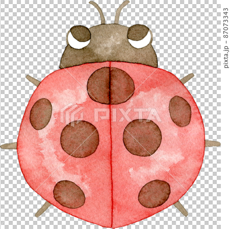 てんとう虫のイラストのイラスト素材 [87073343] - PIXTA