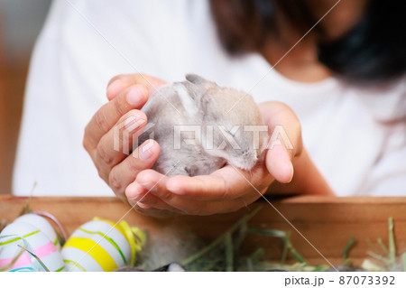 Asian woman holding tiny bunny in hand with tenderness and love. People take care a pet and decorate home for Easter. Happy Easter Happy holiday. 87073392