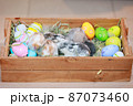 Group of baby Holland lop rabbits in the nest with mommy fur and hay and decorate with Easter eggs. Happy Easter Happy holiday. 87073460