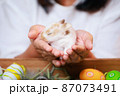 Asian woman holding tiny bunny in hand with tenderness and love. People take care a pet and decorate home for Easter. Happy Easter Happy holiday. 87073491