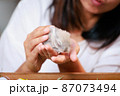 Asian woman holding tiny bunny in hand with tenderness and love. People take care a pet and decorate home for Easter. Happy Easter Happy holiday. 87073494