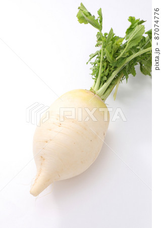 聖護院大根 87074776