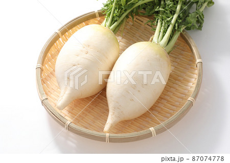 聖護院大根 87074778
