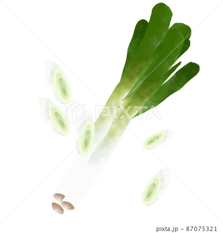 野菜 斜め切りのねぎ 水彩風イラスト 野菜 斜め切りのねぎ 水彩風イラスト 87075321