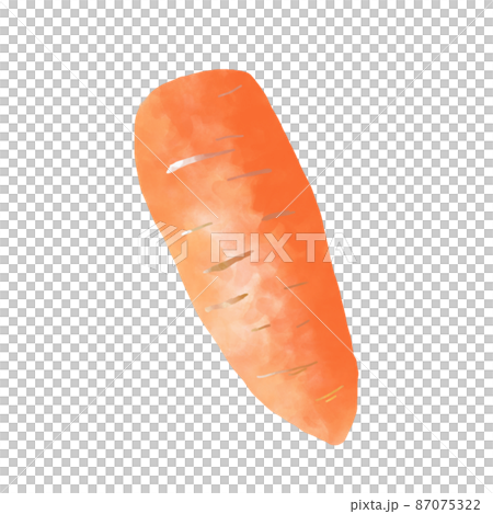 Vegetable carrot watercolor style illustration 87075322