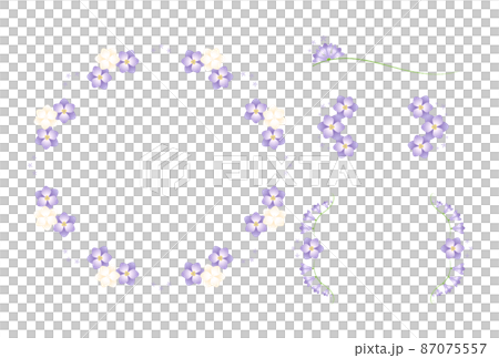 フリージア フリージア 87075557