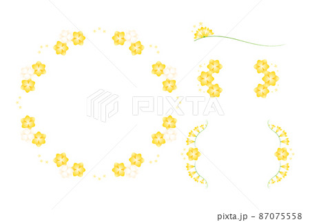 フリージア 87075558