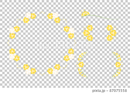 フリージア 87075558