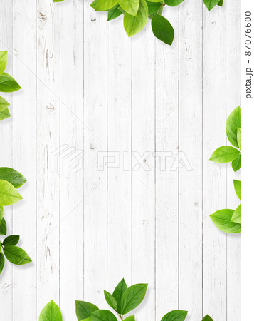 白い木目と葉っぱの背景素材 白い木目と葉っぱの背景素材 87076600
