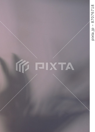 Blurry shadow silhouette of natural leaves overlay on grey neutral wall abstract texture background. Blurry shadow silhouette of natural leaves overlay on grey neutral wall abstract texture background. 87076718