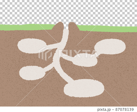 蟻の巣の断面図　アリ無し 87078139