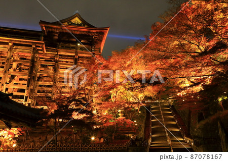秋の清水寺　ライトアップ 87078167
