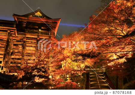 秋の清水寺　ライトアップ 87078168