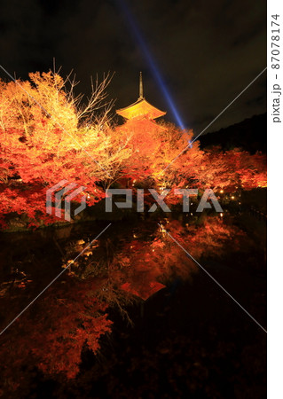 秋の清水寺　ライトアップ 87078174