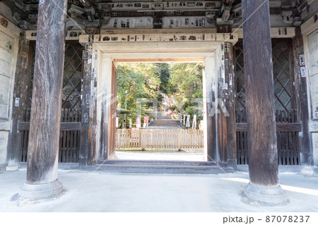 園城寺（三井寺）「参道 from 仁王門（大門）」 87078237