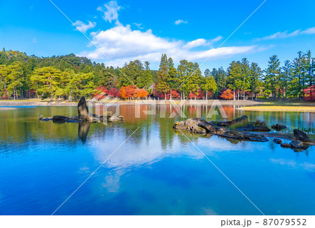 世界遺産　毛越寺の浄土庭園　紅葉の秋（岩手県平泉町） 87079552
