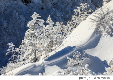 【北海道上富良野町】樹氷と雪景色 87079640