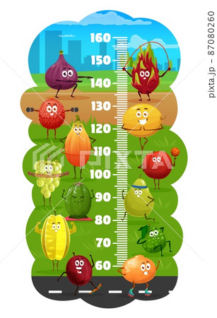 Kids height chart with cartoon fruits characters on fitness. Child growth meter ruler with dragon fruit, fig and lychee, papaya, grape and kiwi, melon, carambola and bergamot, guava doing exercises Kids height chart with cartoon fruits characters on fitness. Child growth meter ruler with dragon fruit, fig and lychee, papaya, grape and kiwi, melon, carambola and bergamot, guava doing exercises 87080260