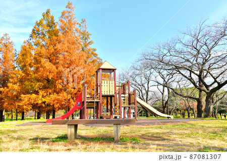 都立篠崎公園A地区(東京都江戸川区) 【2021.11】 87081307