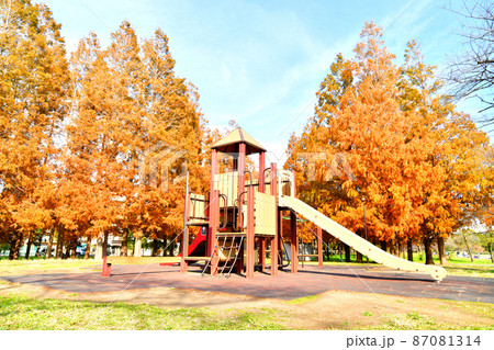 都立篠崎公園A地区(東京都江戸川区) 【2021.11】 都立篠崎公園A地区(東京都江戸川区) 【2021.11】 87081314