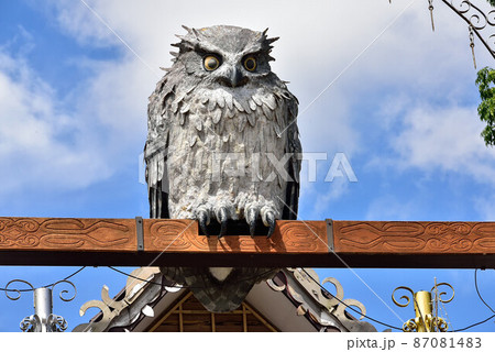 北の大地　 87081483