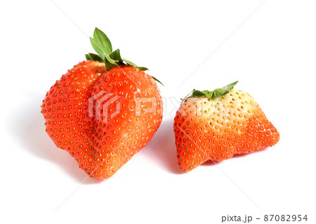 いちご（かおり野） 87082954