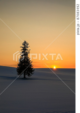 【北海道美瑛町】夕日とクリスマスツリーの木 【北海道美瑛町】夕日とクリスマスツリーの木 87083492