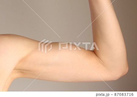 上腕二頭筋 上腕二頭筋 87083716