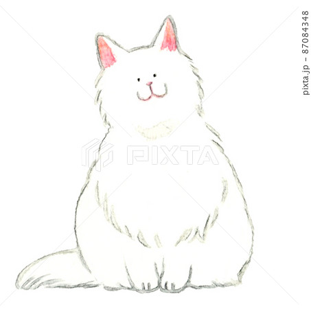 猫のかわいい手描き水彩イラスト 正面を向いて座る白猫 長毛種の