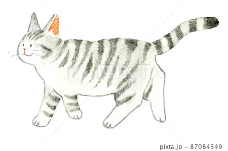 TAKURO 手描き猫の絵 さや Amazon.co.jp: えんぴつで簡単！かわいい！ 猫なぞり絵 : shino, 森屋