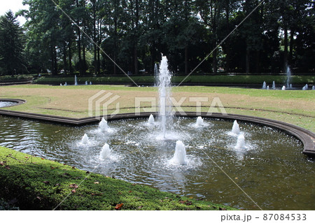 栃木県中央公園 87084533