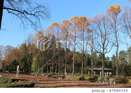 栃木県中央公園 87084534