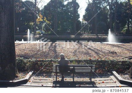 栃木県中央公園 87084537