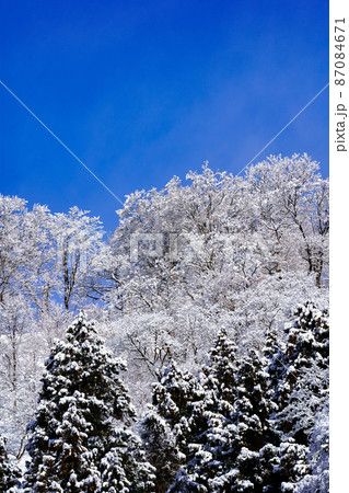 雪をまとった広葉樹と針葉樹に映える青空 87084671