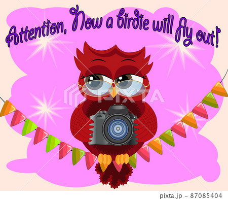 A red flirtatious cartoon owl sits on a garland of flags with a camera and photographs. Photographer, paparazzi, reportage. Inscription Attention, the birdie will fly out right now A red flirtatious cartoon owl sits on a garland of flags with a camera and photographs. Photographer, paparazzi, reportage. Inscription Attention, the birdie will fly out right now 87085404